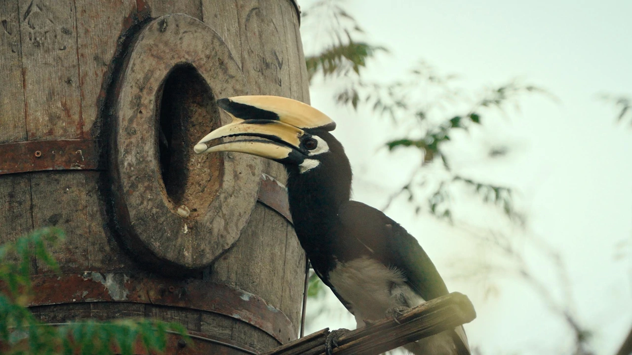 Ponedjeljak, 10. studenoga na Drugom