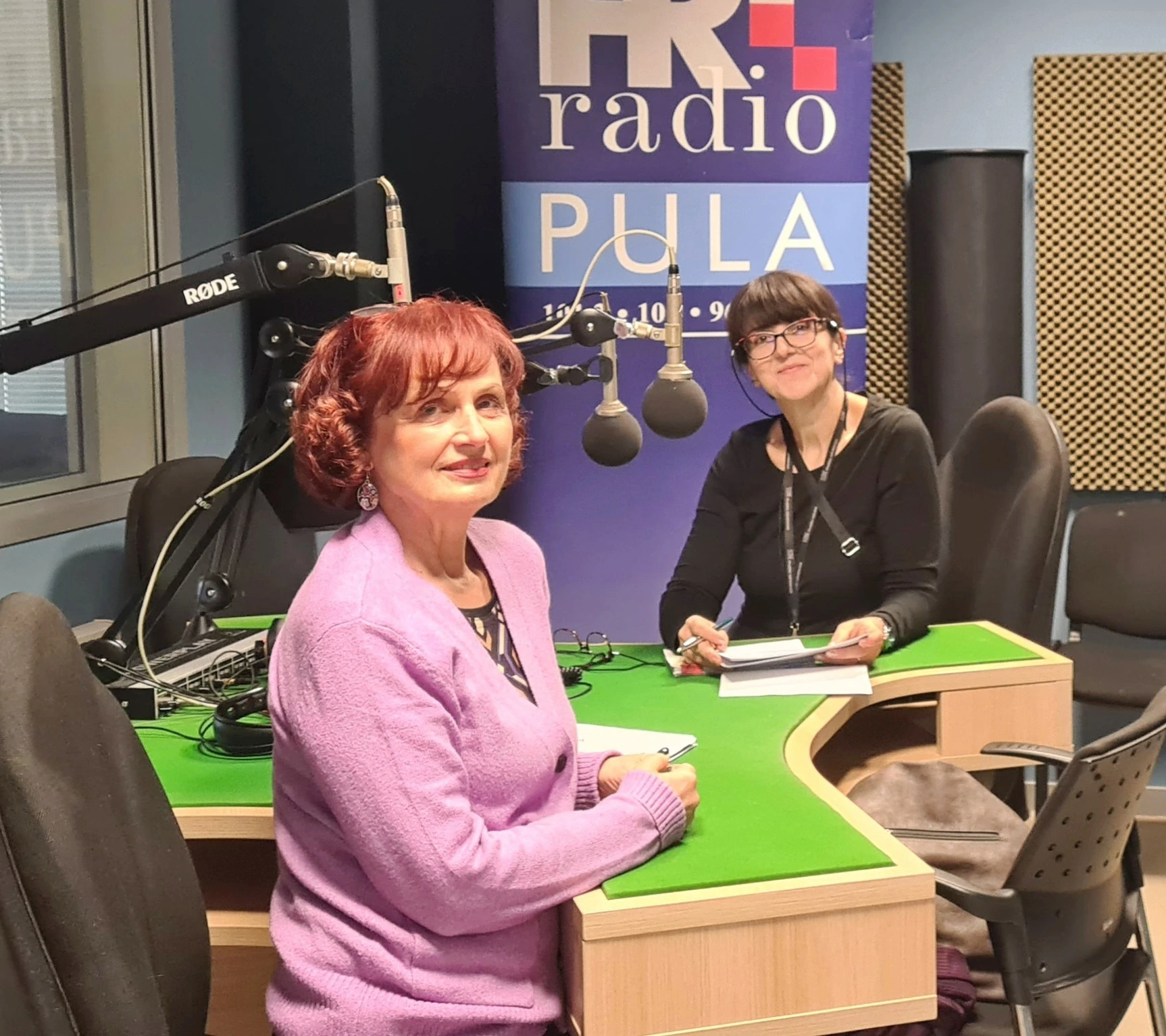 Razvojni kod - Gošća Tatjane Kaštelan Nevena Tolanov, o radu s izazovnim suradnicima
