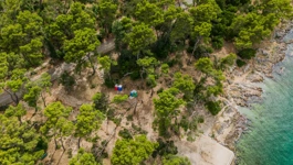 Park šuma Marjan