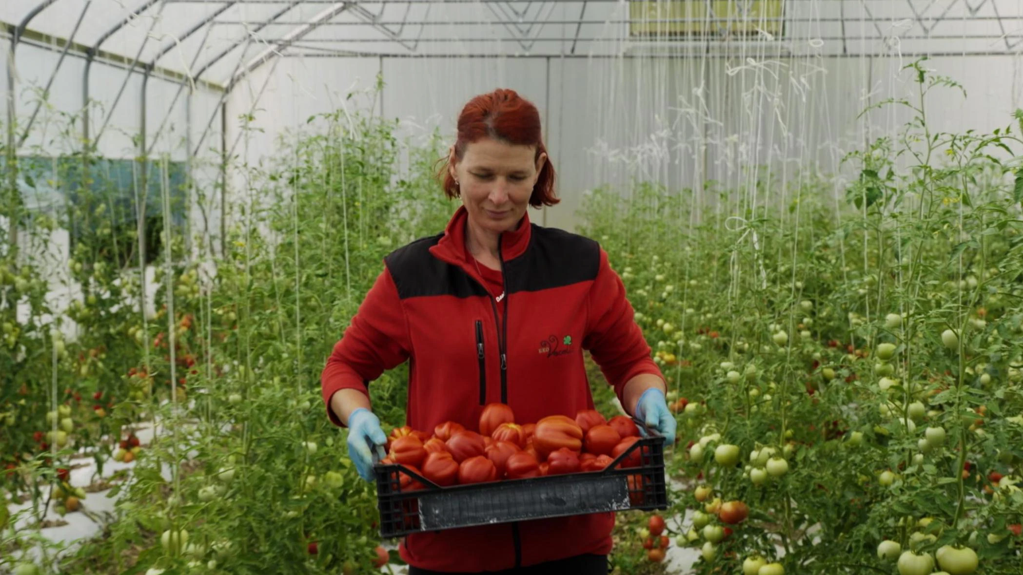 Ponedjeljak, 27. listopada na Prvom 