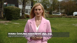 Ivana Čavlina Tomašević