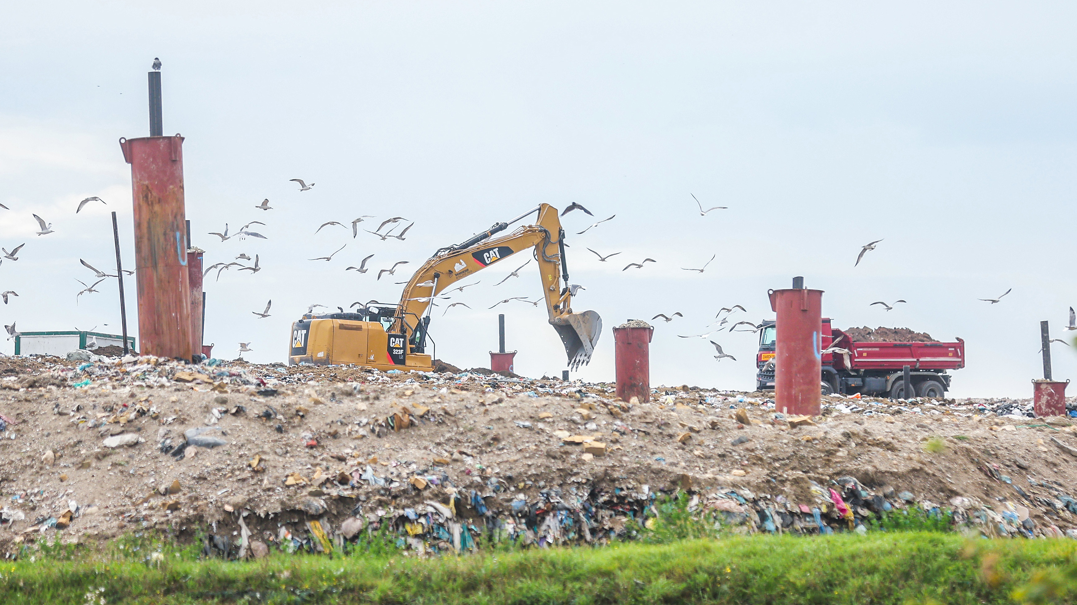 pxl 091025 139876473 20260110084055