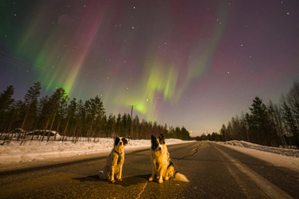 Ena, Max i Aurora Borealis u Finskoj 