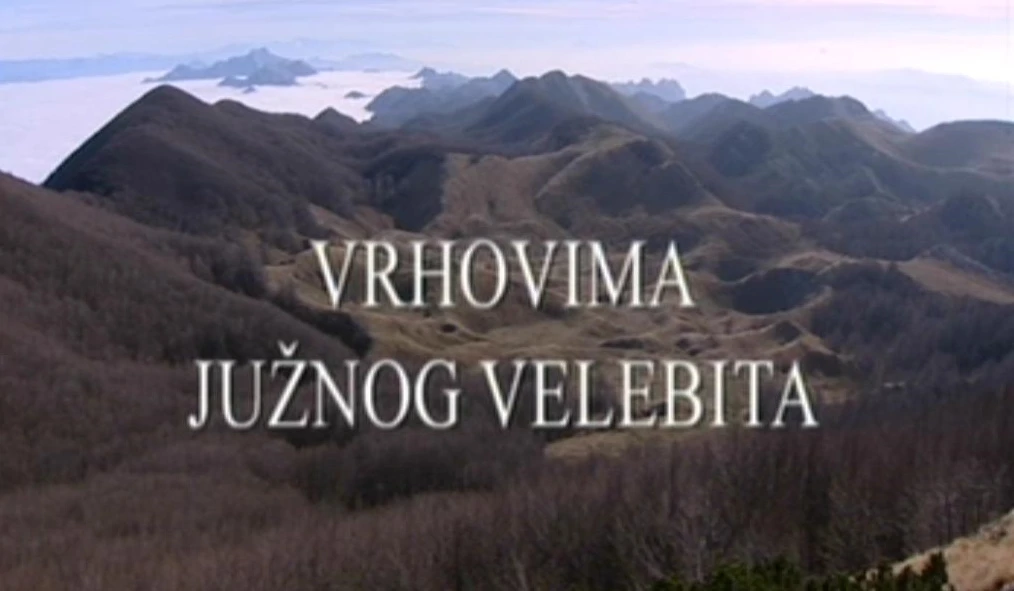 Subota, 29. svibnja na Četvrtom   