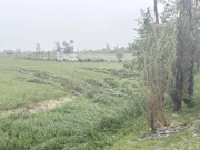 Donja Gračenica pokraj Kutine, Foto: Igor Ahmetović/HRT