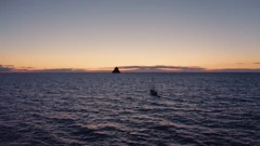 Utorak, 3. ožujka na Drugom , Foto: Plovopis - južni pučinski otoci/dokumentarna serija 