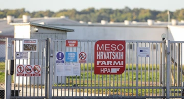 Eutanazija svinja na farmi Sokolovac
