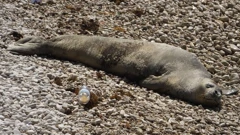 foto: Duško Marušić/PIXSELL