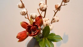 Ikebana