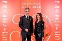 Uzvanici pristižu na "Večernjakovu ružu", Foto: Emica Elvedji /Pixsell
