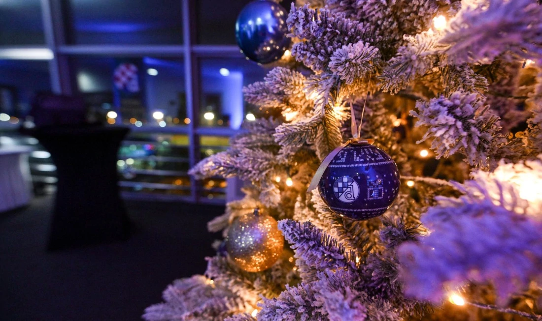 Održana Skupština GNK Dinama, Foto: Igor Šoban/PIXSELL