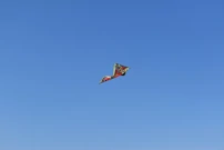 Zmajada, Foto: Stjepan Filipović/HRT - Radio Osijek