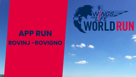 Wings for life World Run 