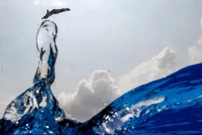 Švicarac David Duval na Svjetskom prvenstvu u skokovima u vodu, Foto: Marko Djurica/REUTERS