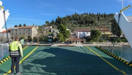 Ošljak