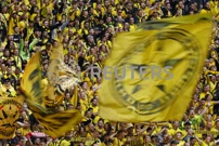 Navijači Borussije Dortmunda, Foto: Sarah Meysonnier/REUTERS