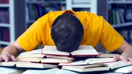 Ispunjava li državna matura svrhu, jamči li jednakost u obrazovanju!?