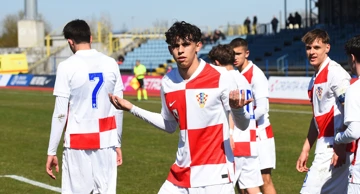 Hrvatska - Ukrajina, Tino Kusanović