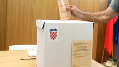Dopunski izbori