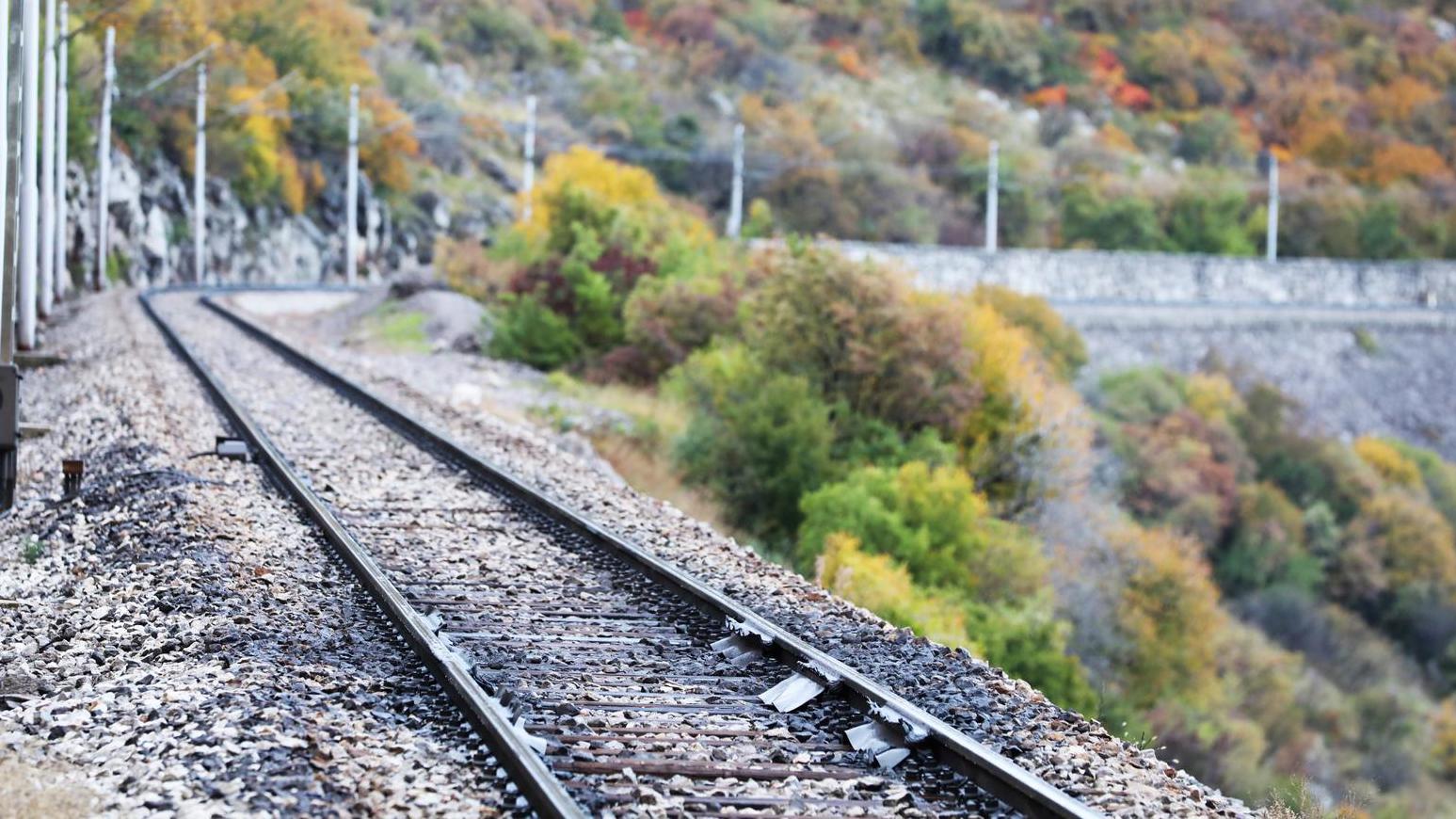 pxl 291025 140984598 20260121152513