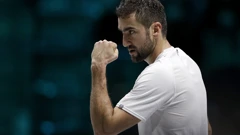 Marin Čilić