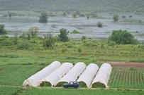 Poplave u vrgoračkom području, Foto:  Matko Begovic /PIXSELL