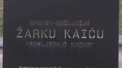 Žarko Kaić