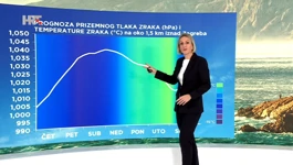 Tanja Renko