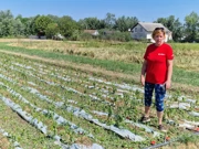 Uništena baranjska paprika, Foto: Krunoslav Inhof/HRT Radio Osijek