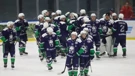  The Sisak hockey team 