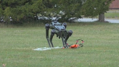 Lov na dronove