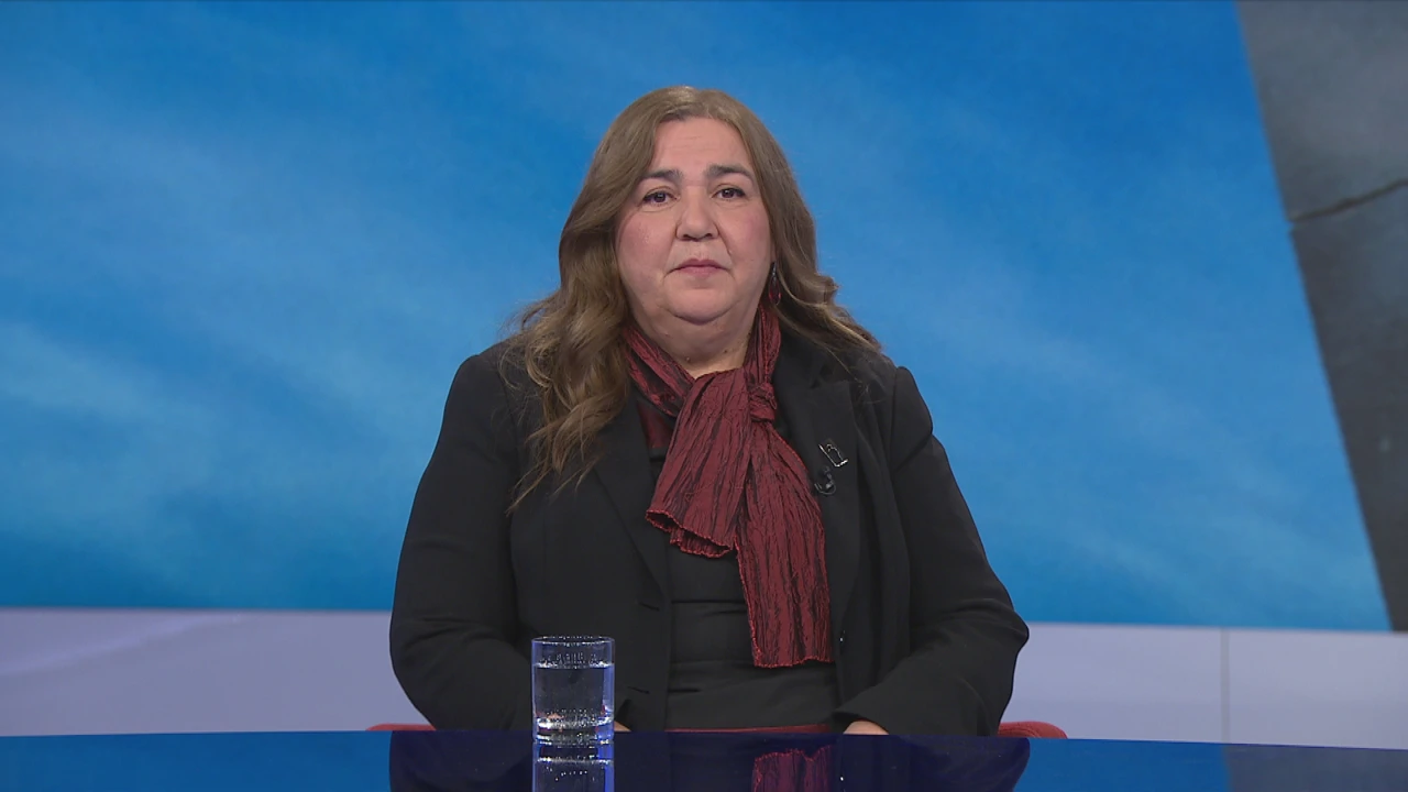 Ljiljana Alvir, predsjednica Saveza udruga obitelji zatočenih i nestalih branitelja i civila, Foto: HTV/HRT