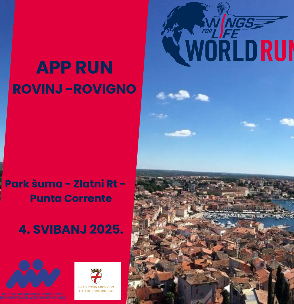 Wings for life World Run 
