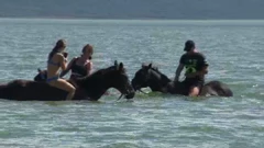 Jahanje kroz Vransko jezero