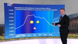 Tomislav Kozarić