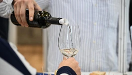 Festival vina Bregovite Hrvatske