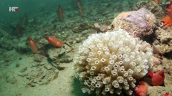 Prukljansko jezero, Foto: HTV/HRT