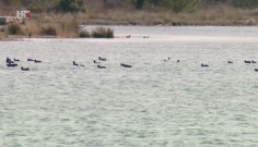 Prukljansko jezero, Foto: HTV/HRT