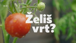 PlantOn-vrt na dlanu