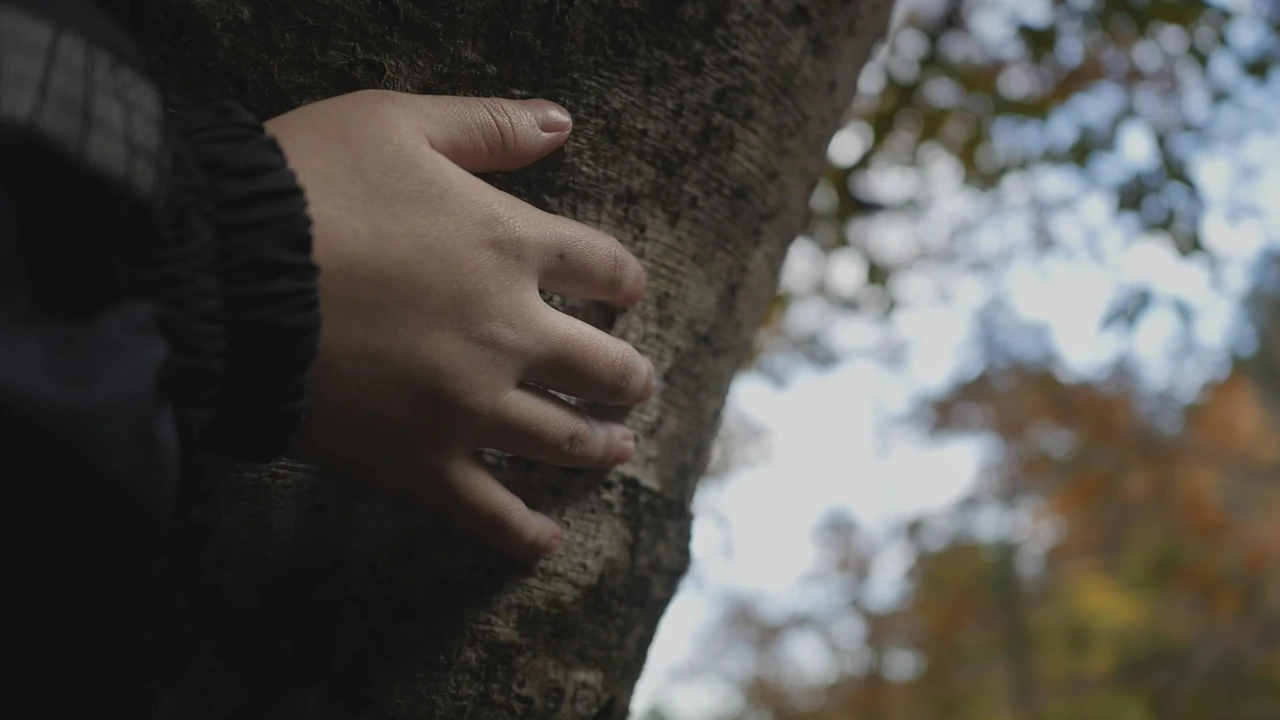 Ljekovita moć prirode, Foto: promo/dokumentarni film 