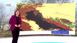 Dunja Plačko-Vršnak