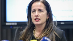 Irena Weber