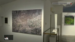 ‘Umjetnički život biljaka’, Foto: Vijesti iz kulture/HRT