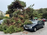  Posljedice nevremena u Splitu , Foto:  Ivo Cagalj/PIXSELL