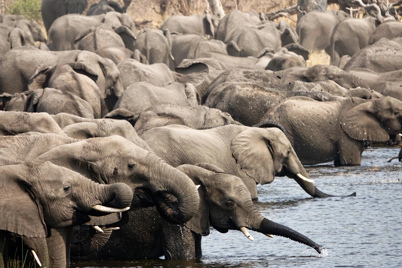 Ponedjeljak, 2. veljače na Drugom , Foto: Čudesna priroda Namibije/dokumentarni film
