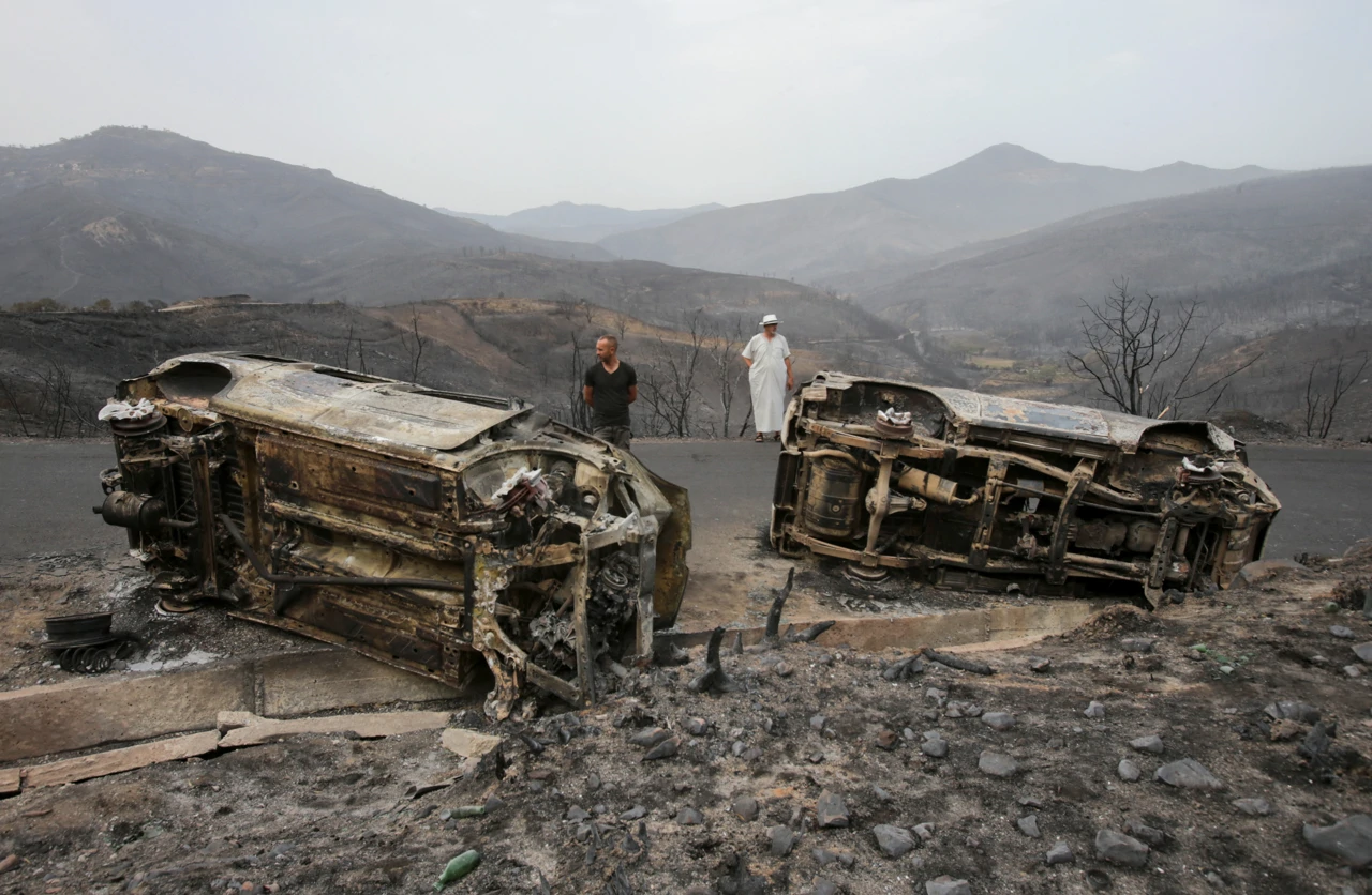 Posljedice požara u Alžiru, Foto: RAMZI BOUDINA/Reuters