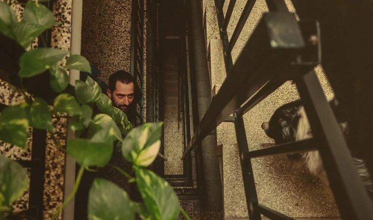 Umjetnički projekt u stubištu