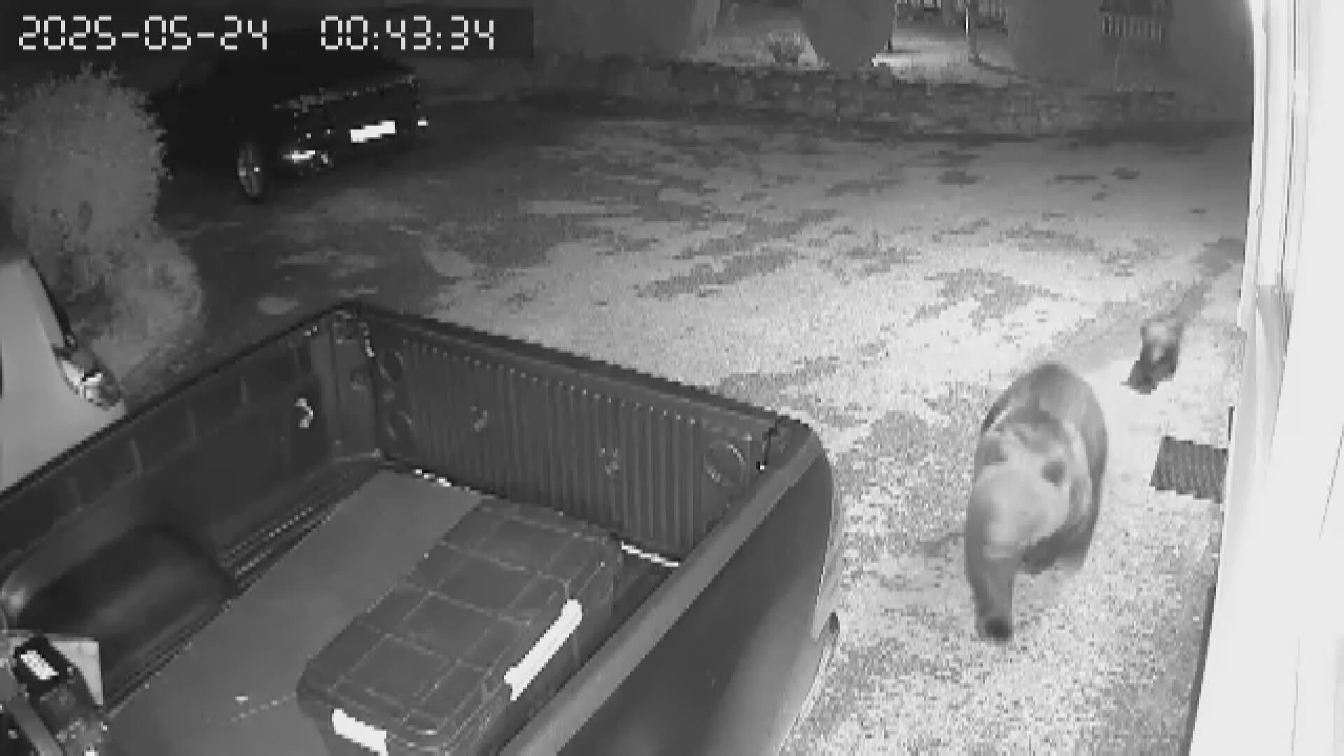 Medvjedica uz domove – mještani Rudanovca žive u strahu i čekaju rješenje