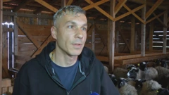  Toni Slišković