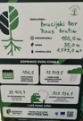 Zadar je dio europske TreeTag kampanje – odabrana gradska stabla dobila su TreeTag oznake, Foto: -/-